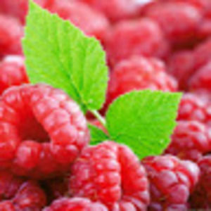 Meet your Posher, Michaela